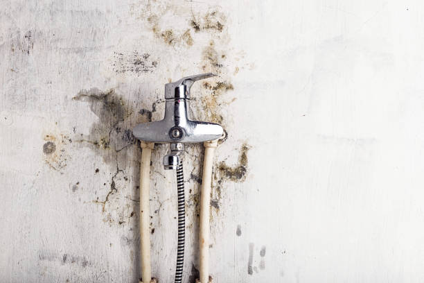 Best Basement Mold Remediation in Westlake, TX